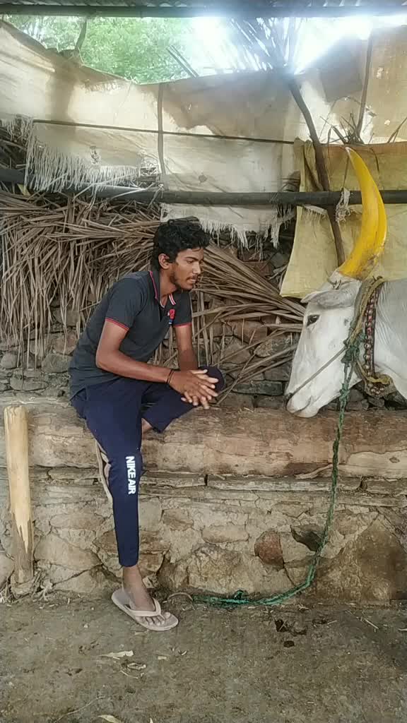 @ajay 935323