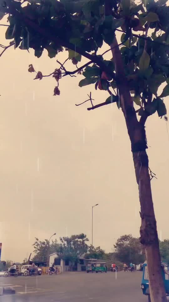 @Akshay Dhameliya
