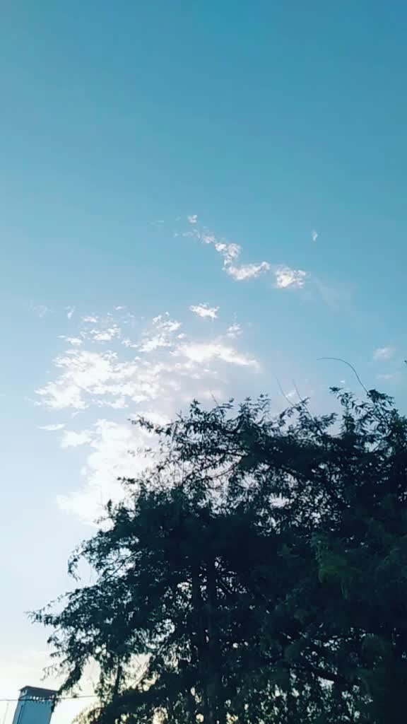 @🦁mr_giri_4449🦁