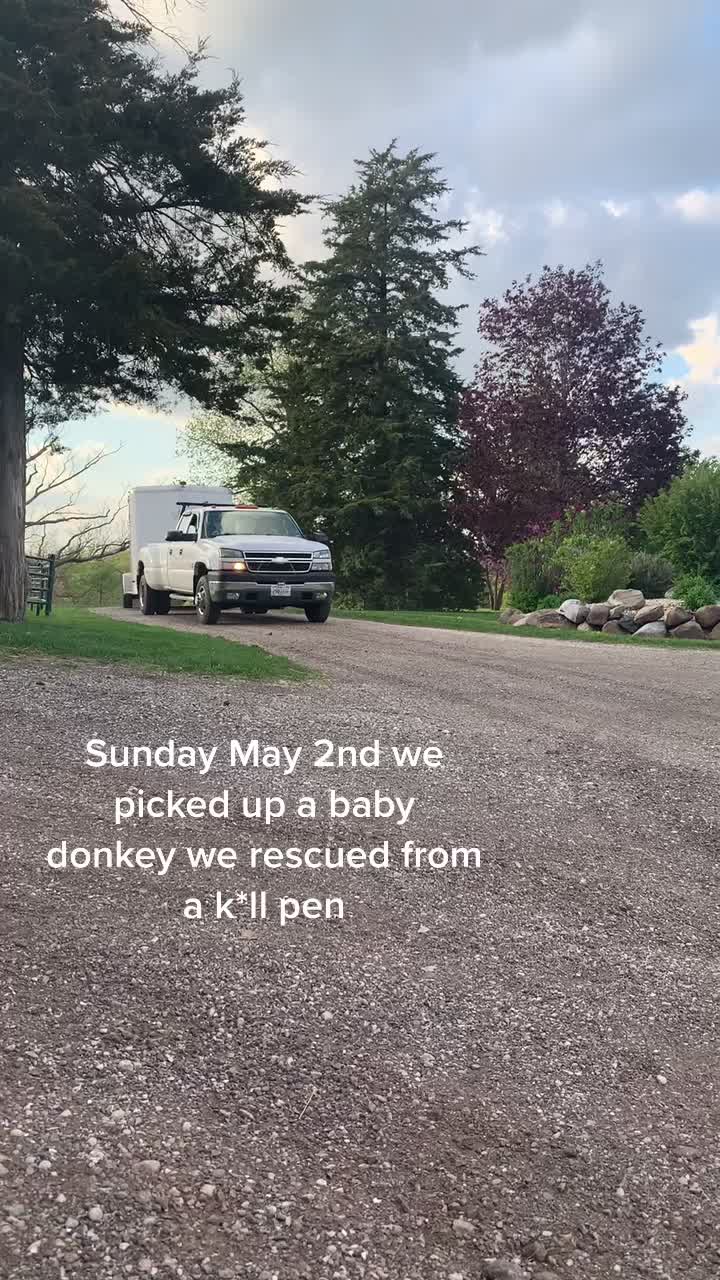 @Solstice Sanctuary