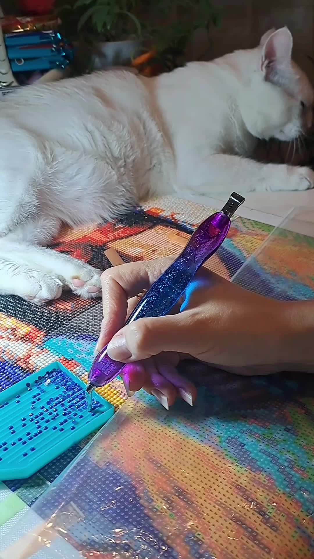 @cat_chul