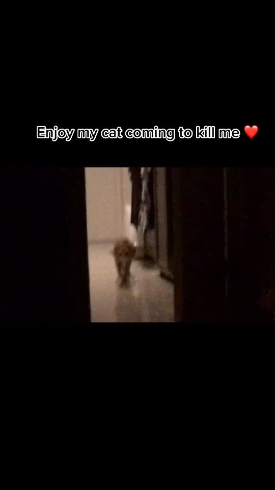 @🇱 •🅰︎•🅽•🇦