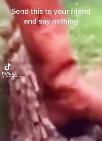 @Meme hub
