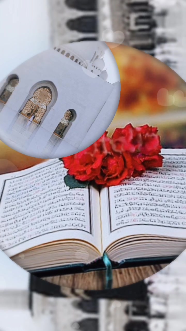 @Nafisharahman