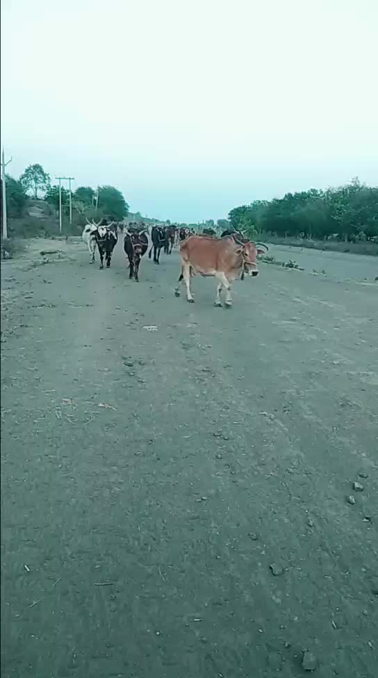 @user85591768461