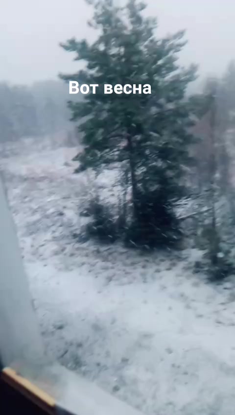 @Анна Шеина