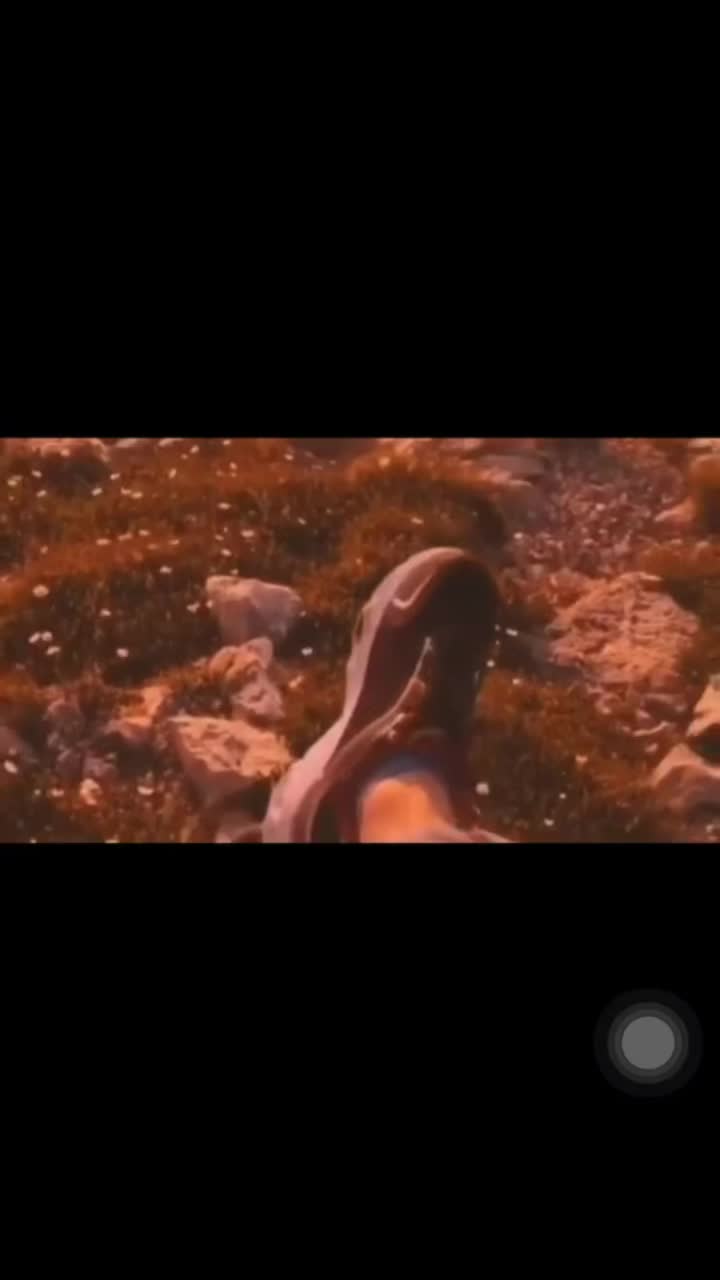 @aesthetics.be.who.u.are