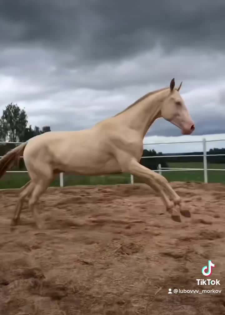 @Lubovvv_Morkov