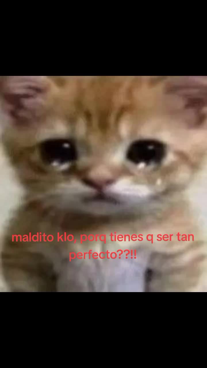 @iaan 🐈🌷