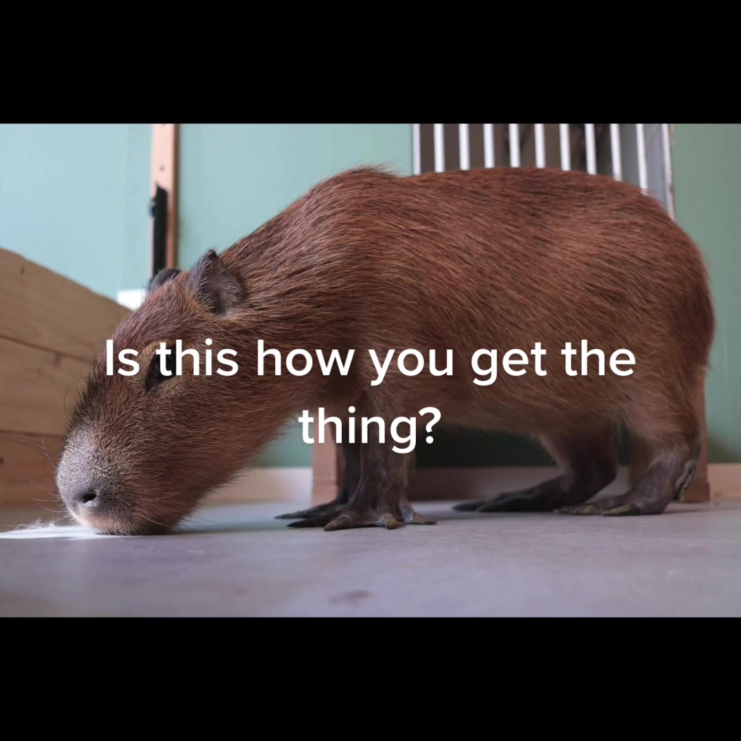 @Joeme