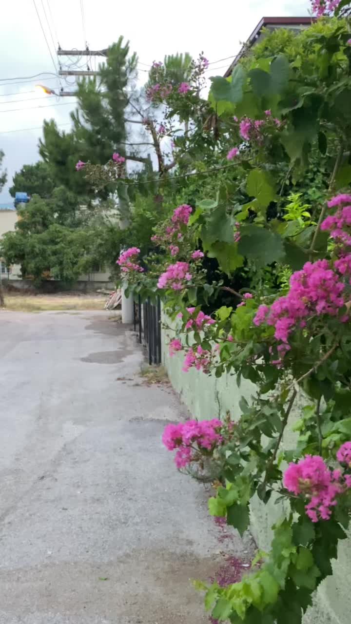 @Ömer Yılmaz