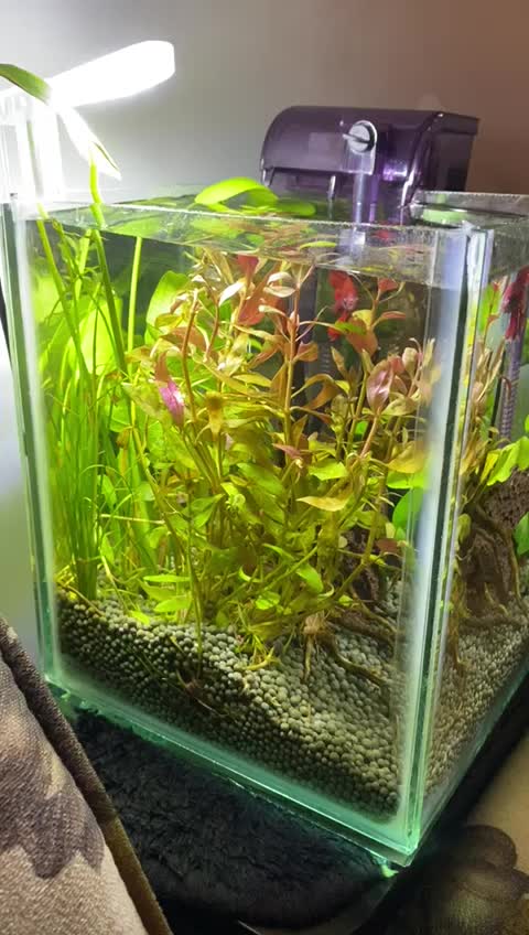 @goldenaquahub