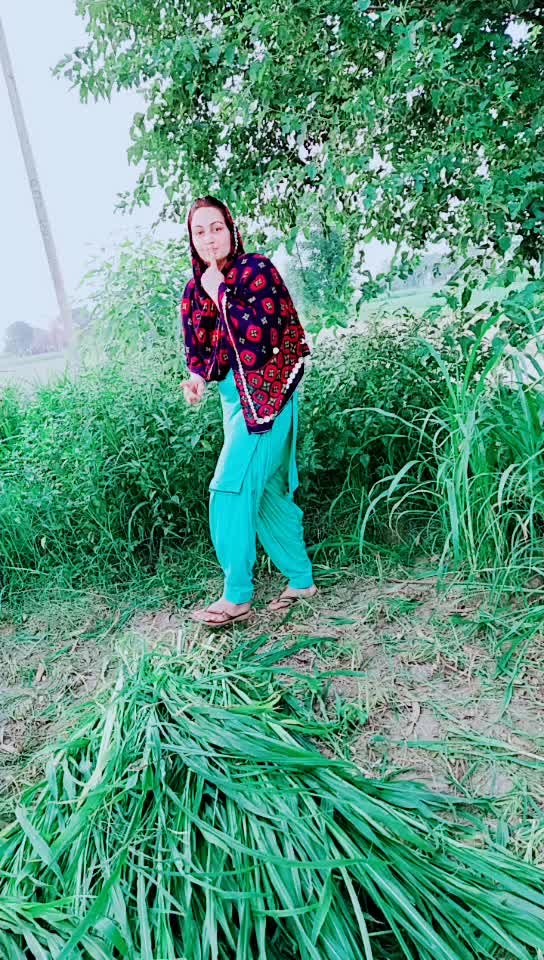 @harry sangha sab