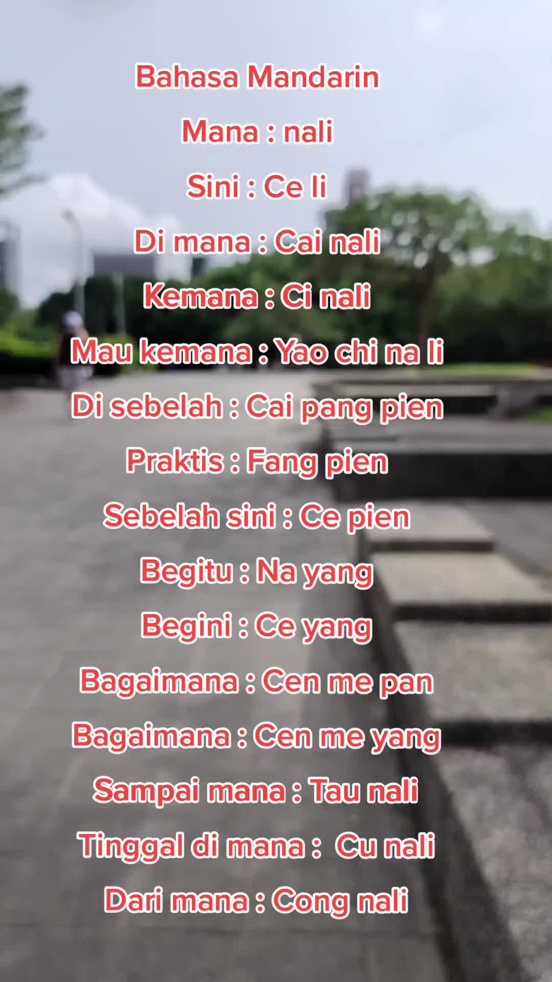 @paijemelex