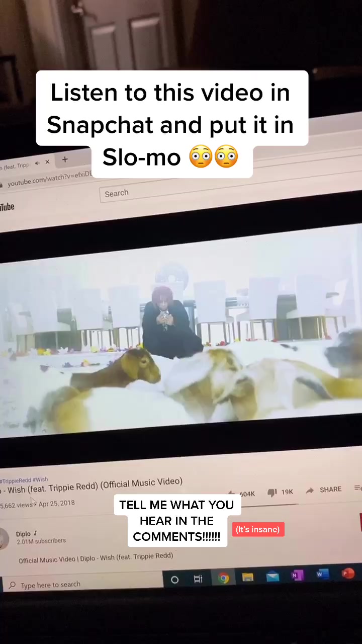 @tinyphoneguy