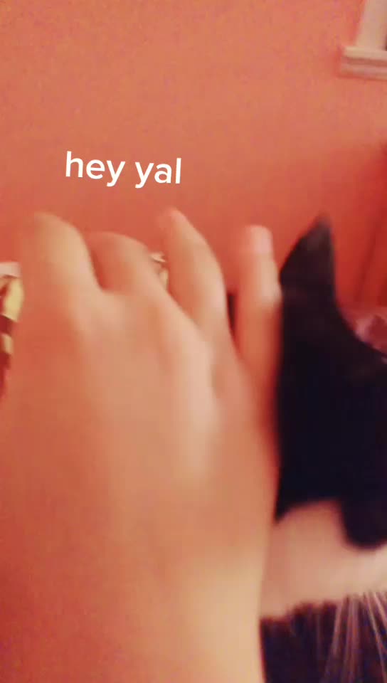 @Furry_Hype_House