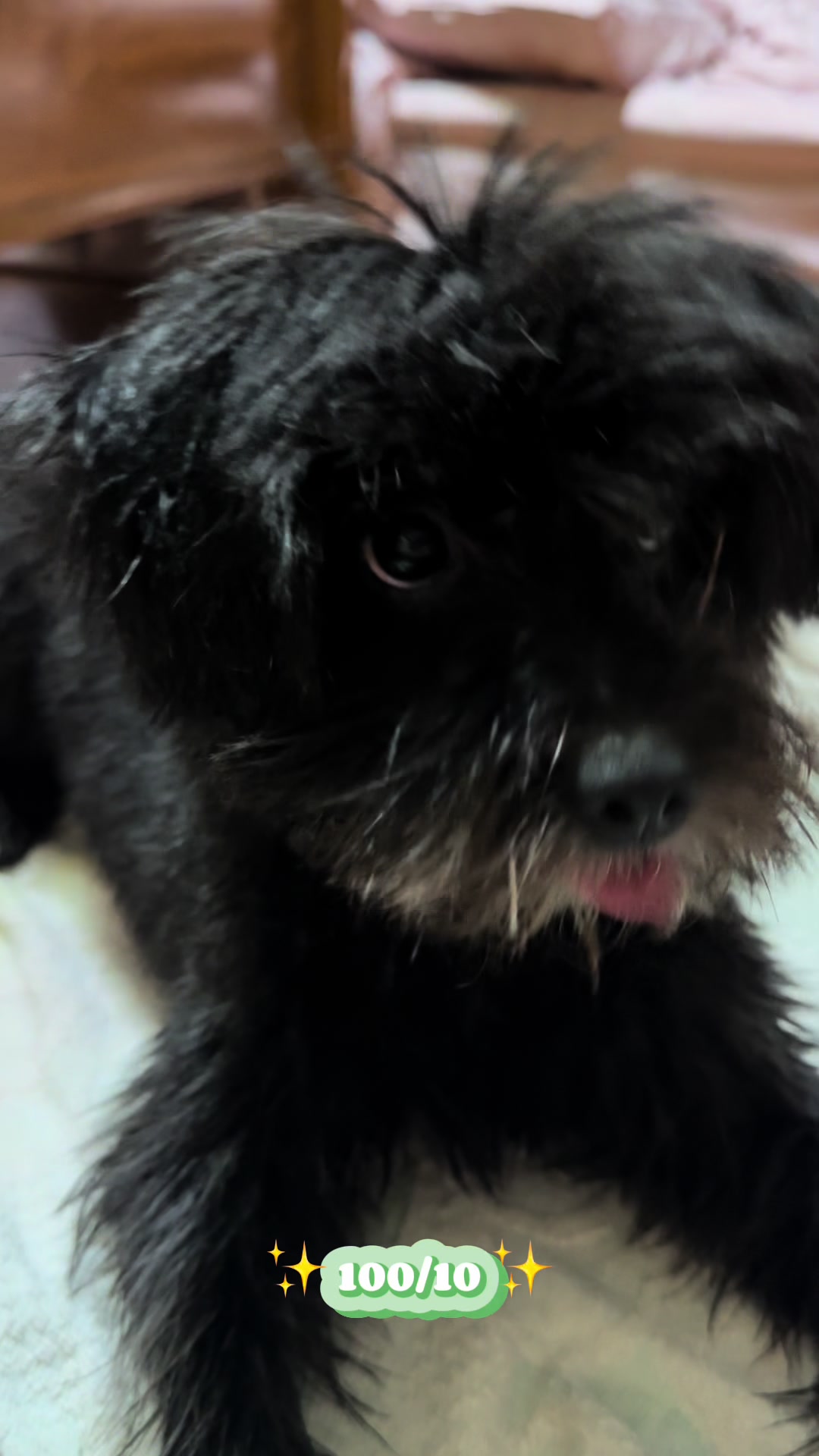 @maegan💗🍭💌🎀