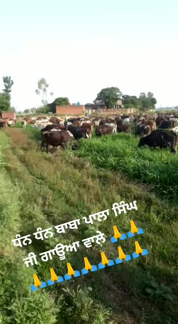 @SIMRANCHEEMA