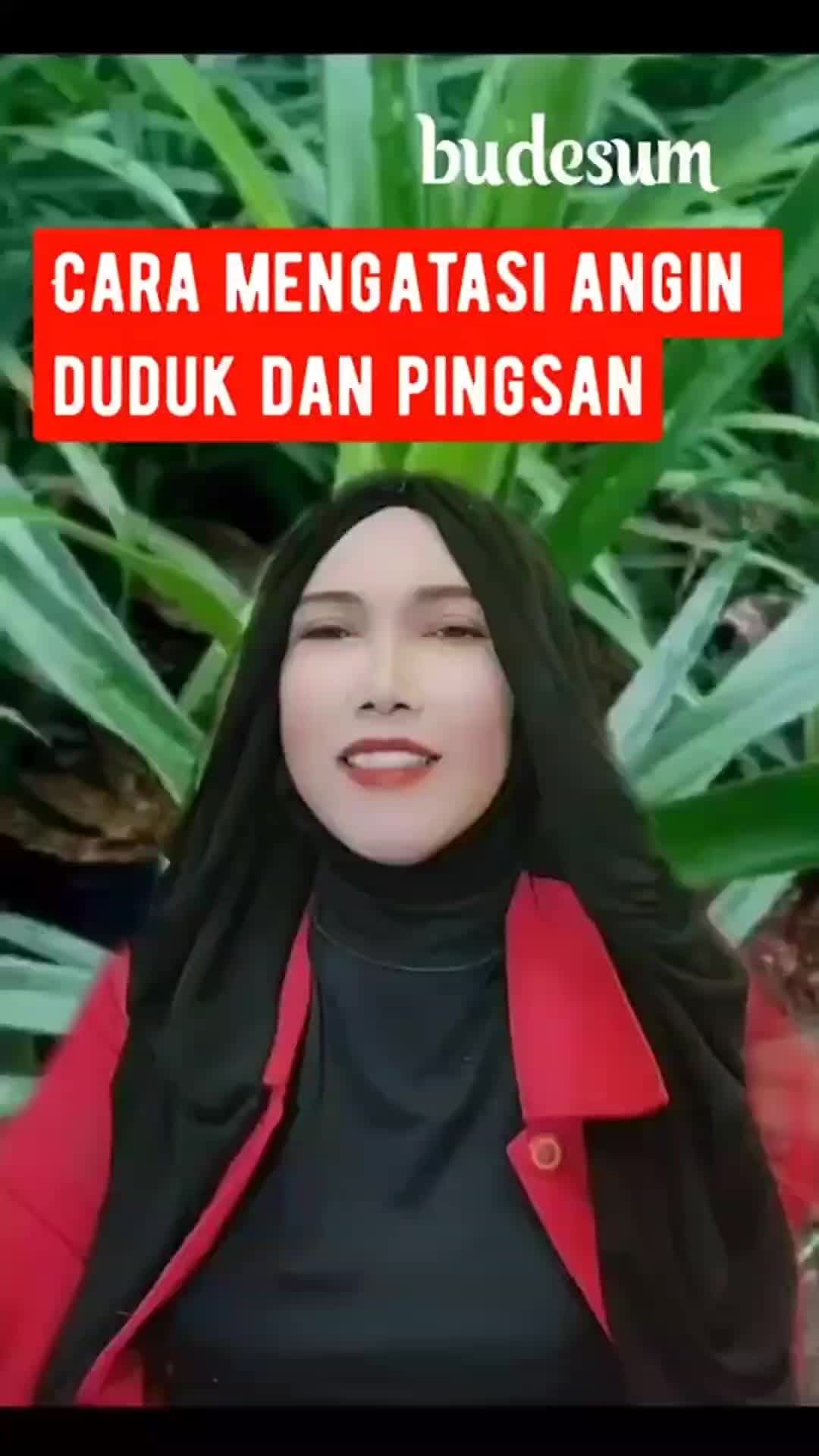 @budesum