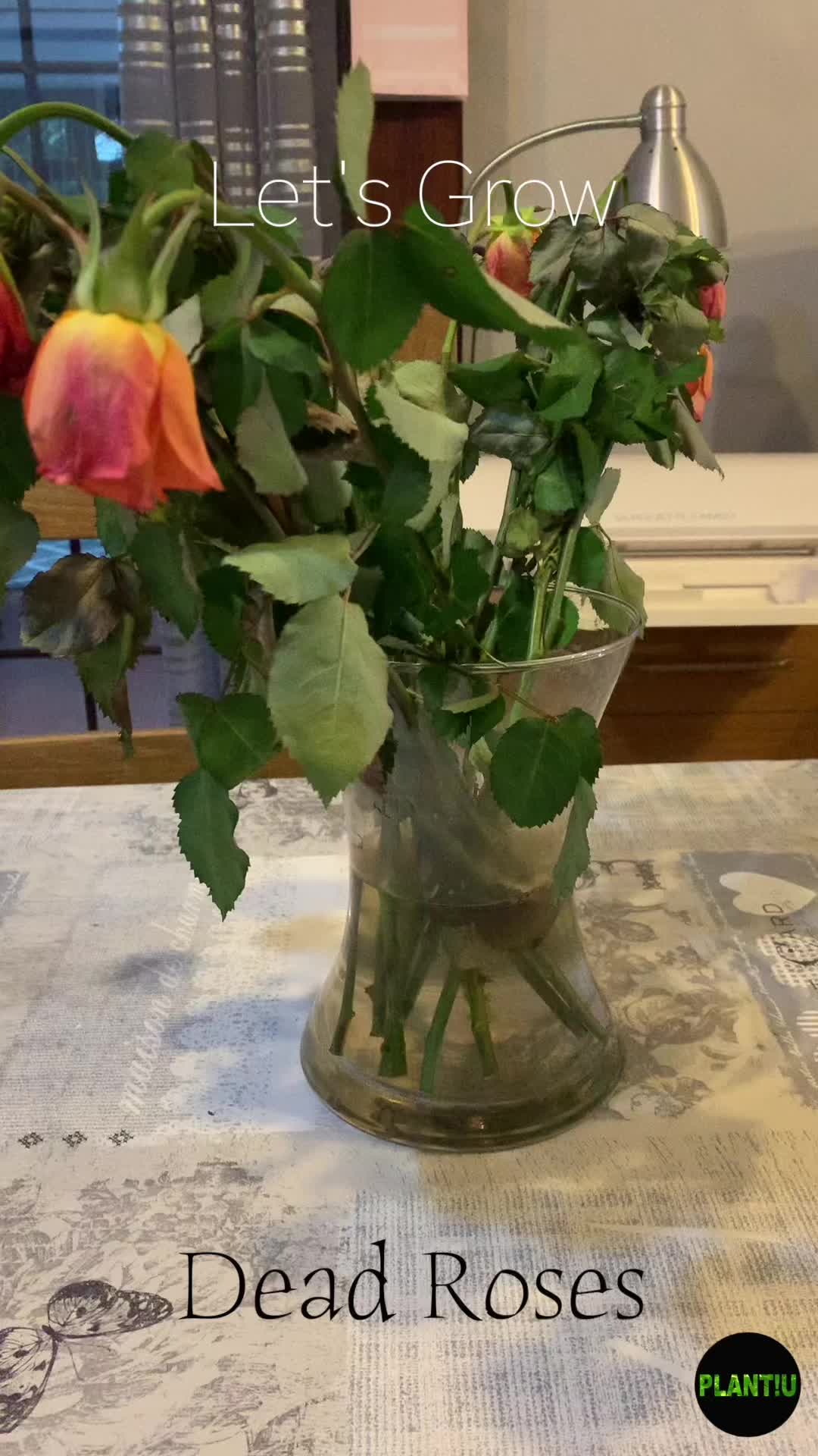 @Plant!U