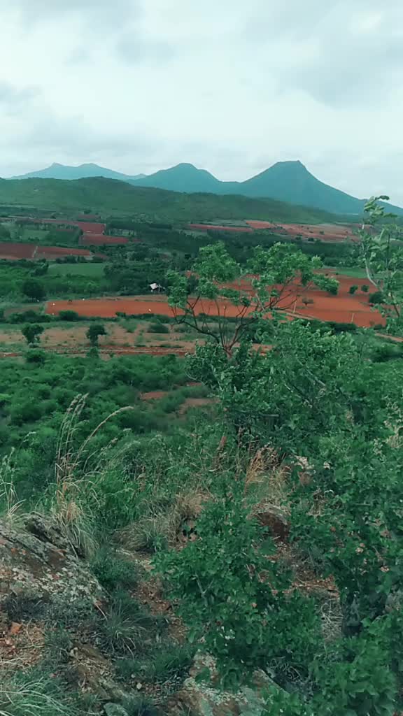 @Karuna Karuna