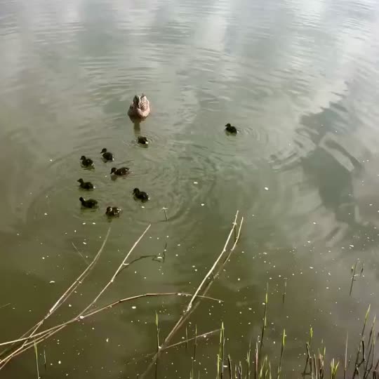 @Rybaření na Kopě