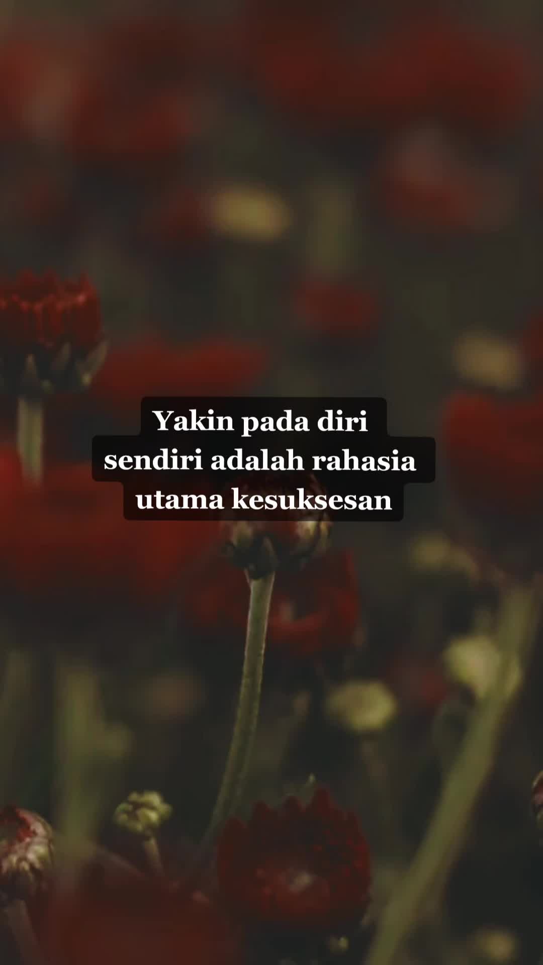 @CincinWanita