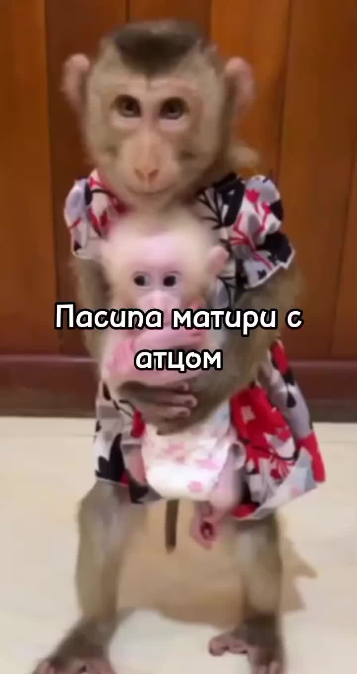 @🍌Киршу Монке🍌