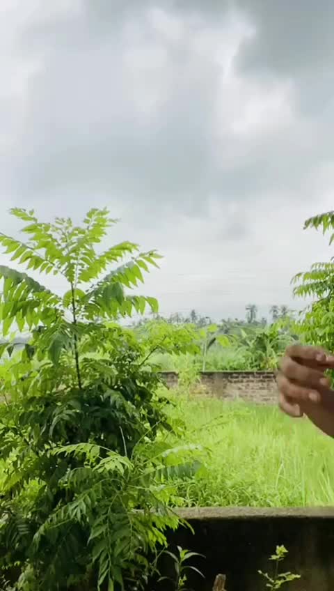@Sarika Khan