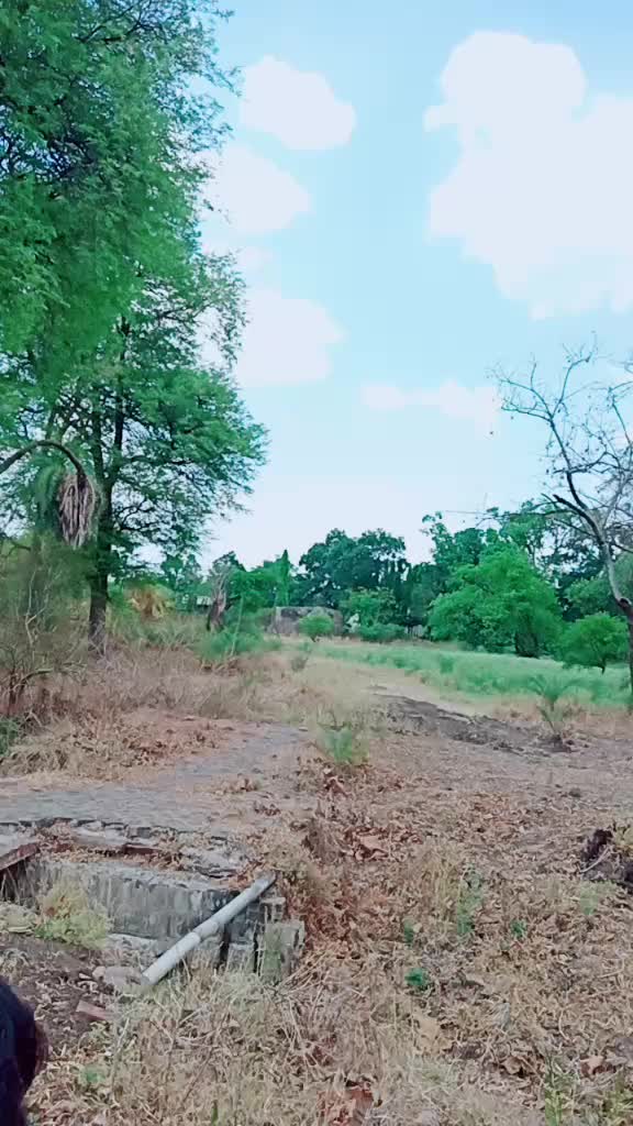 @Ram.Shivdekar.