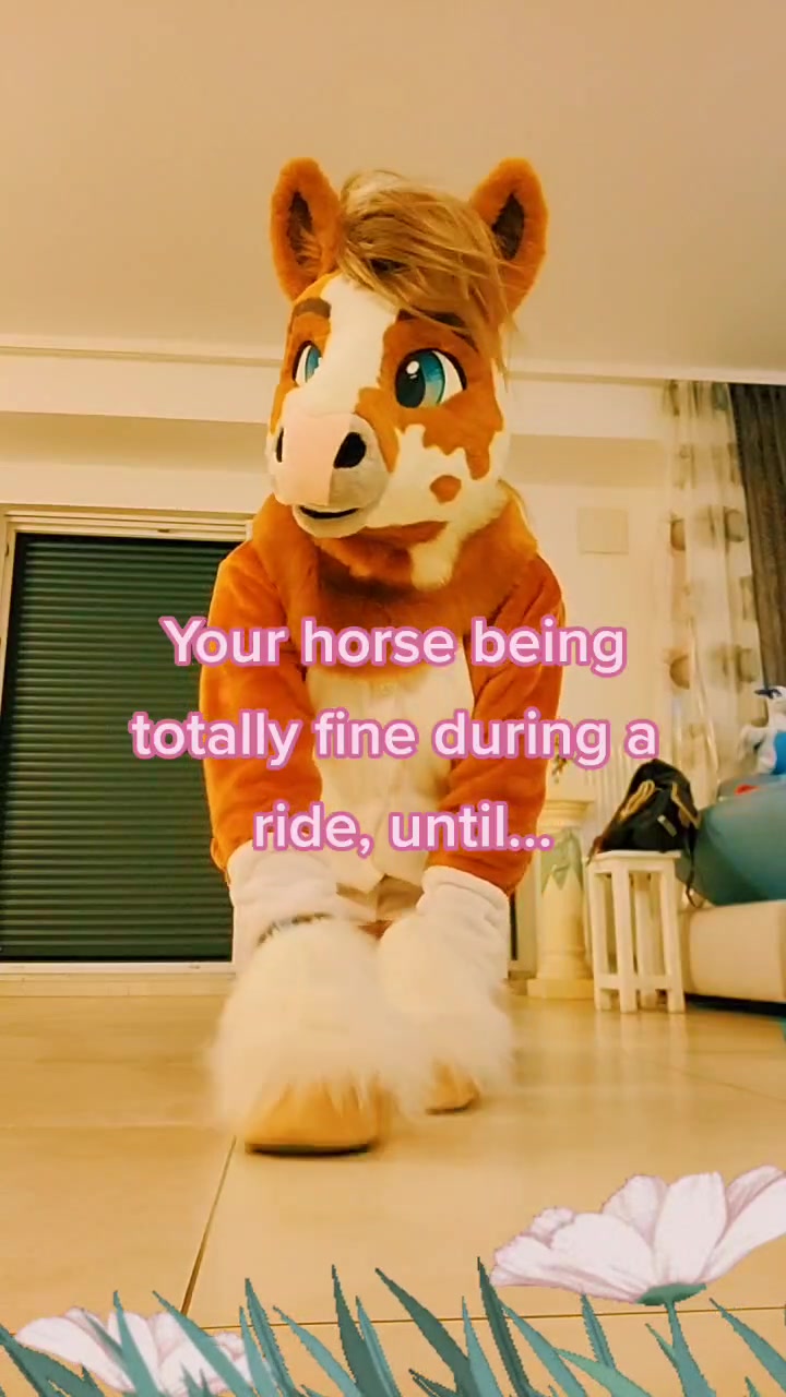 @SeaNoodles