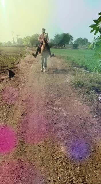 @Shubham Chouhan