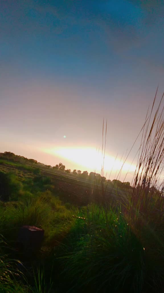 @Tiger Maan
