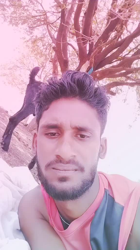 @Waman Jadhav