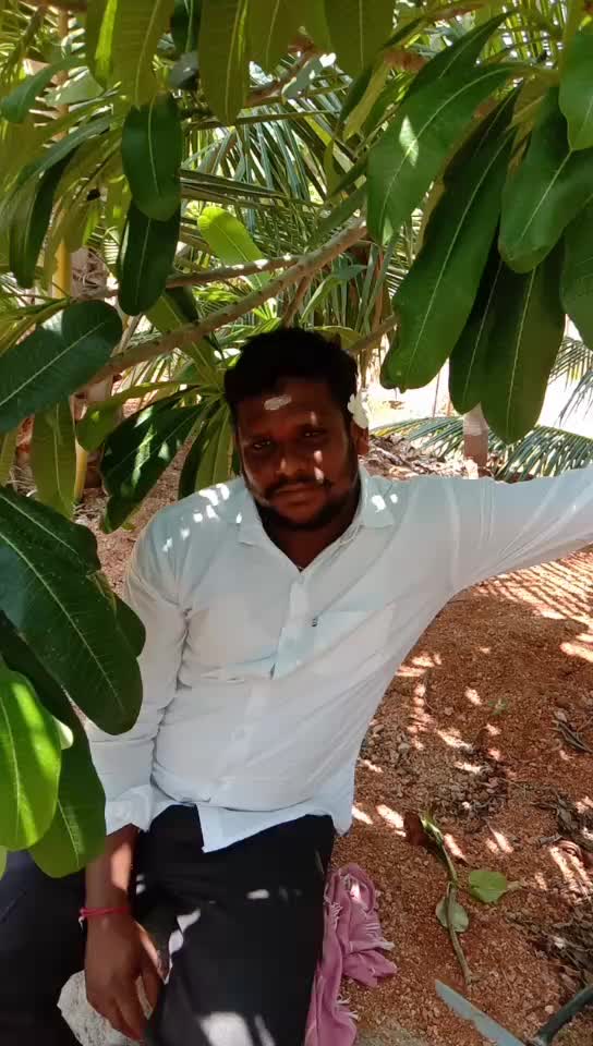 @Nallabothu Raju