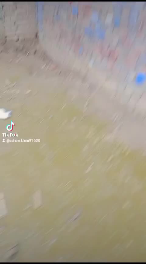 @sulemanshsh5