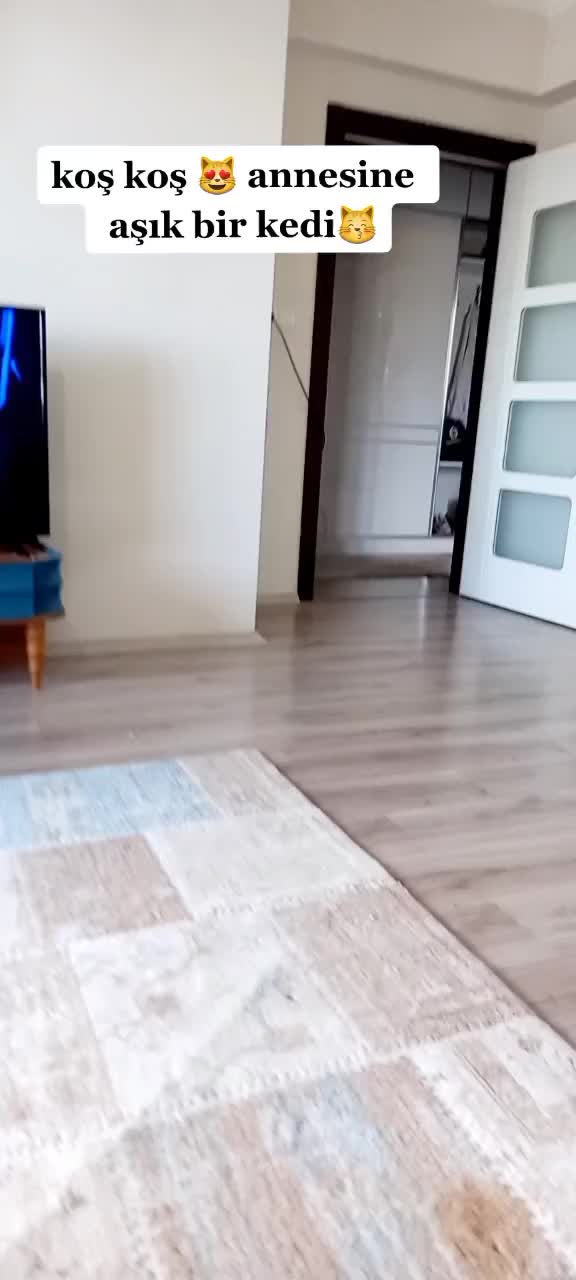 @Peri