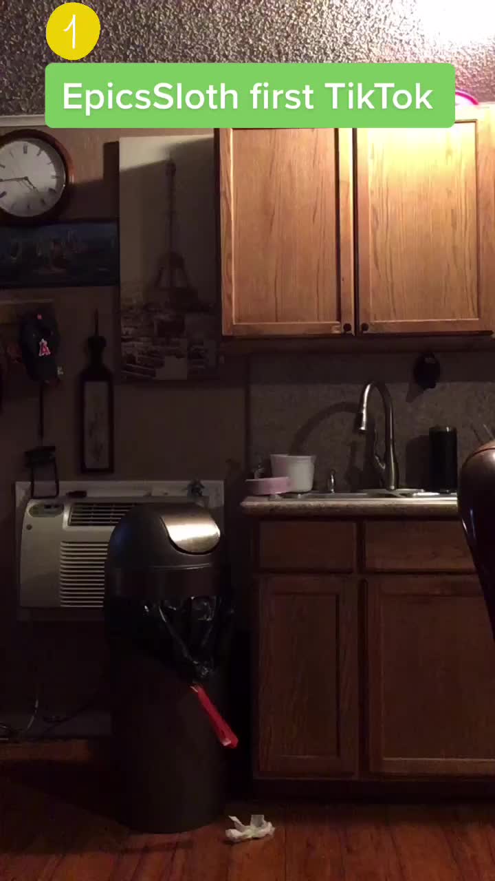 @EpicSloth