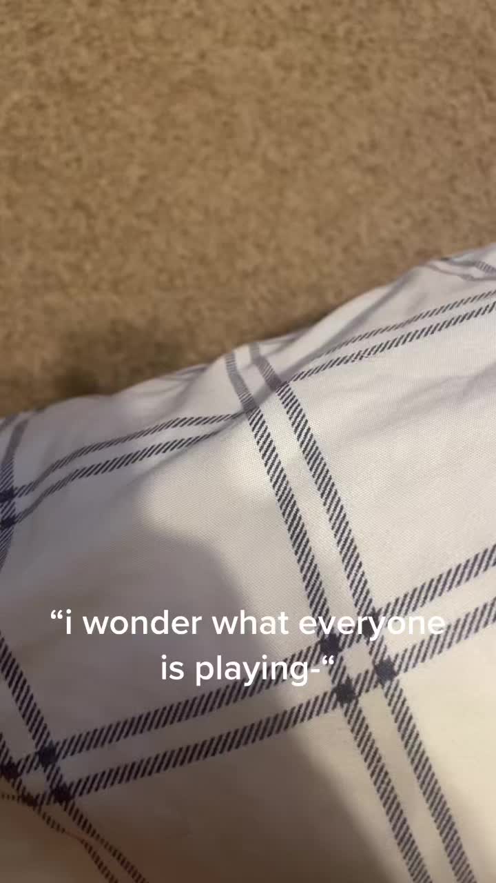 @ankylodan
