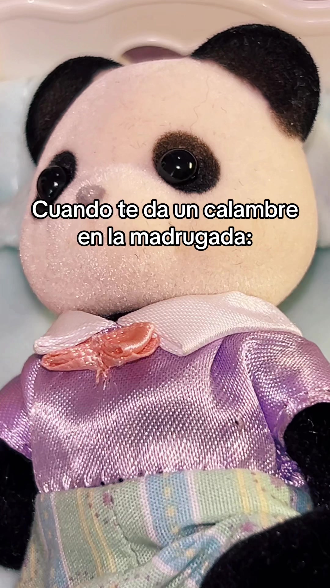 @TuTernuriAmiga💜