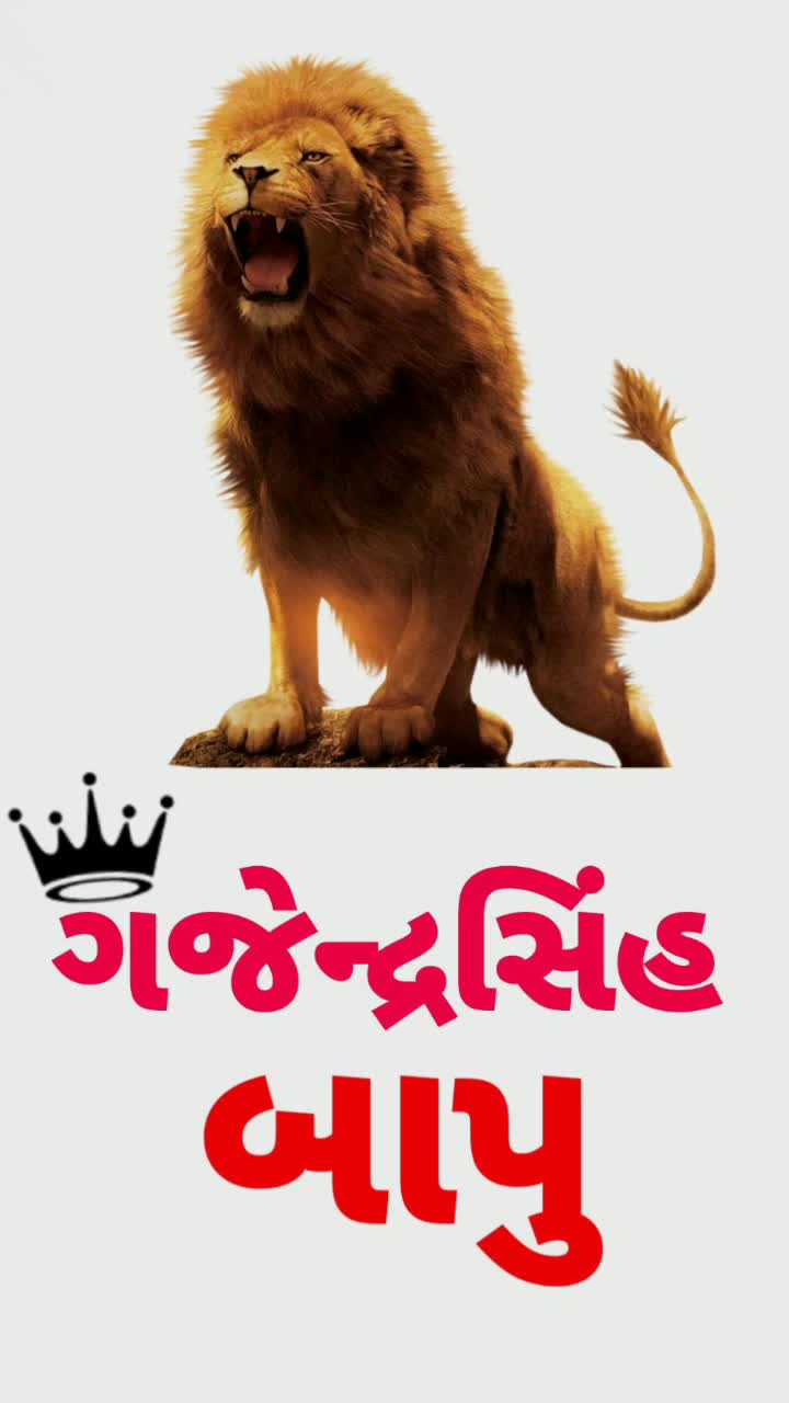 @vipulsinhvaghela