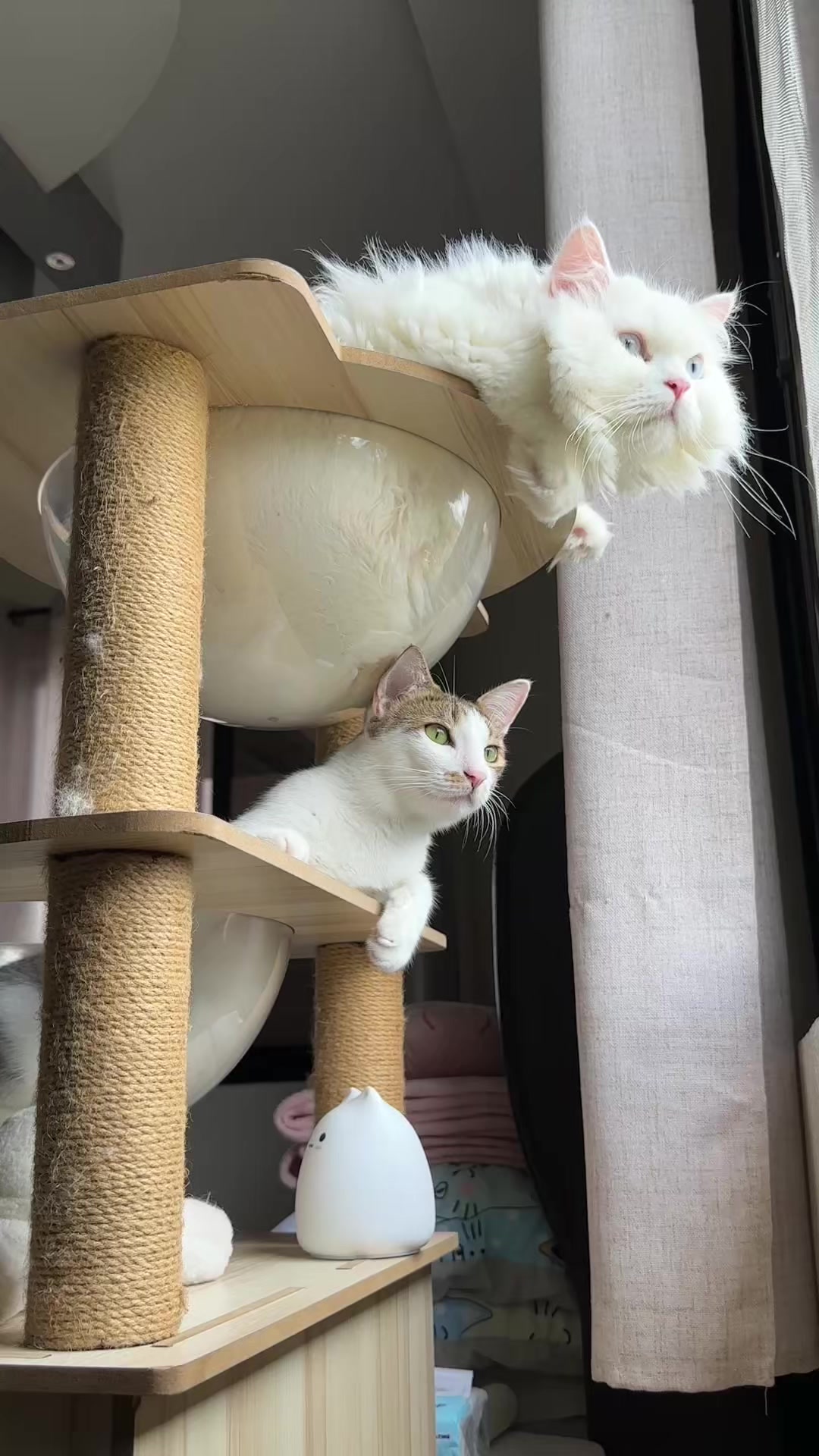 @Chloe & Casper 🐾