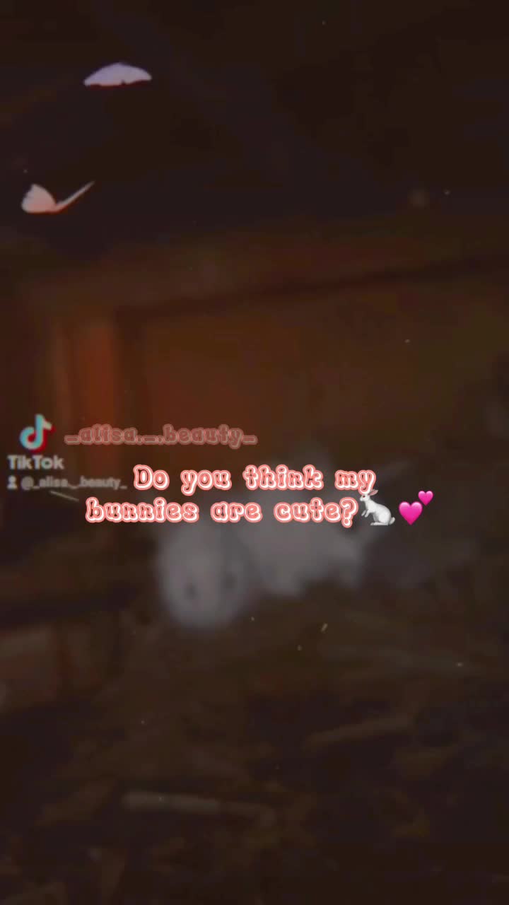 @<33