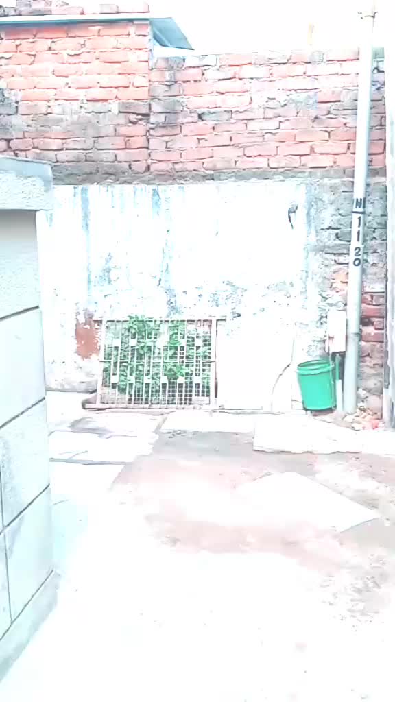 @LalitBadgujar4520