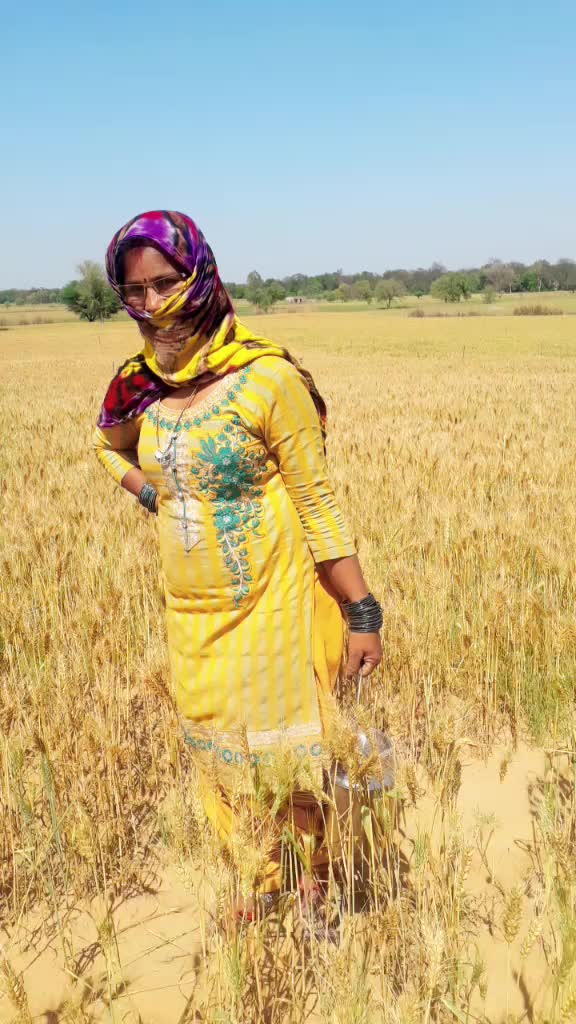 @anita bunty dalal