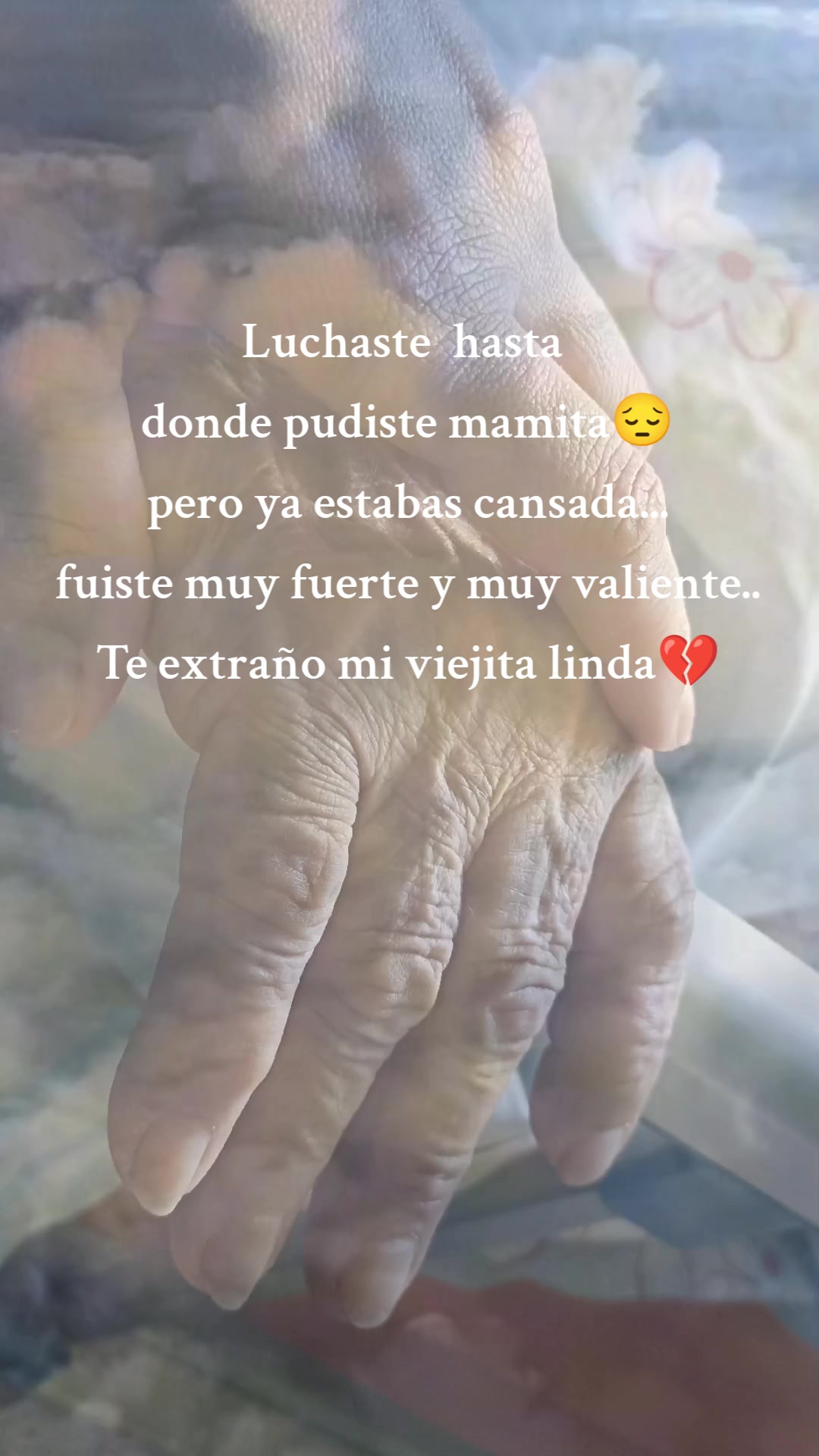 @Carmencita 🕊️🤍