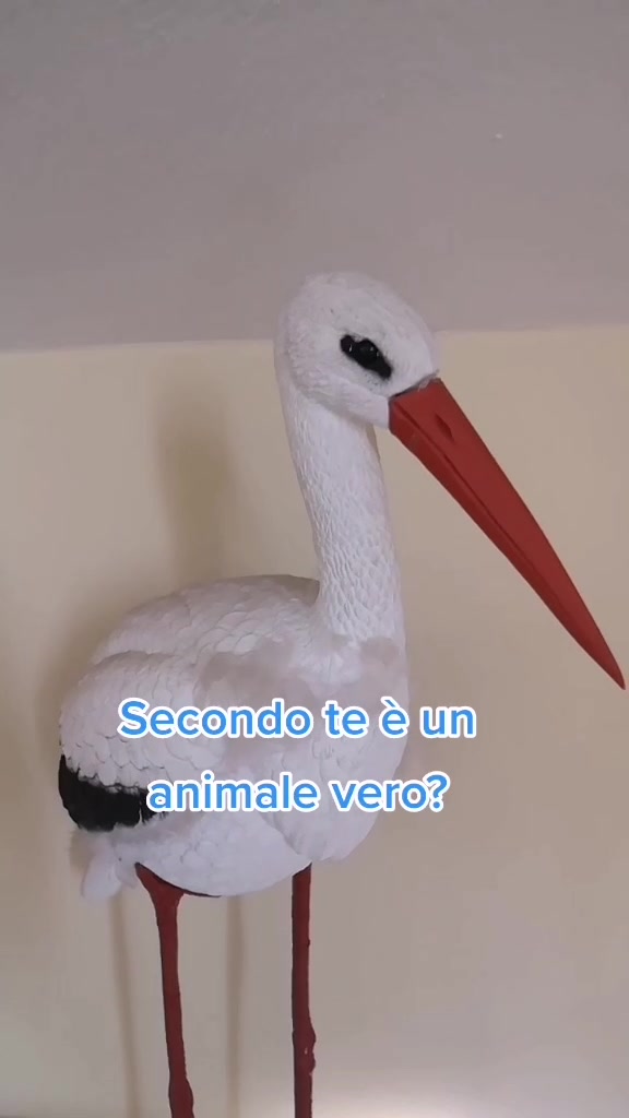 @RobyQuiz