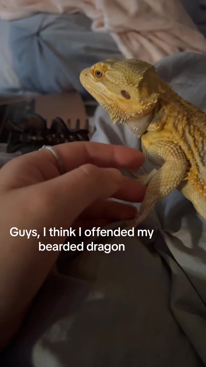 @nora