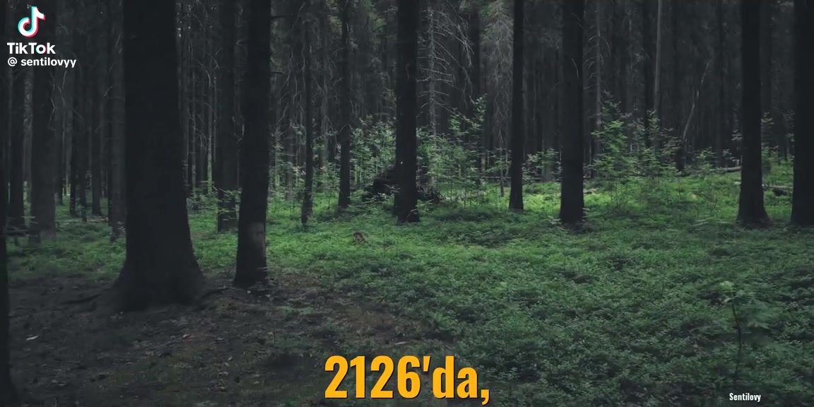 @Belki bir g&uuml;n&hellip;