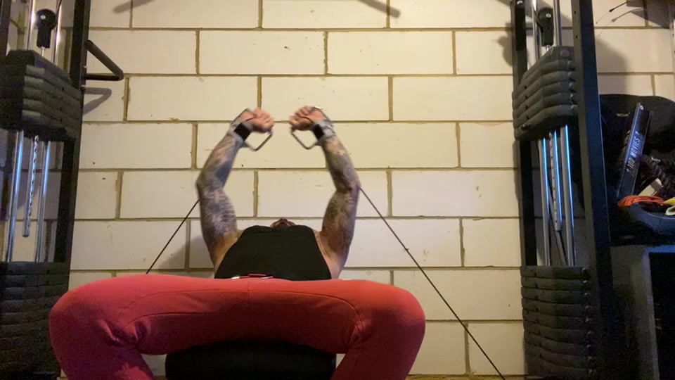 @Tattoosandweights